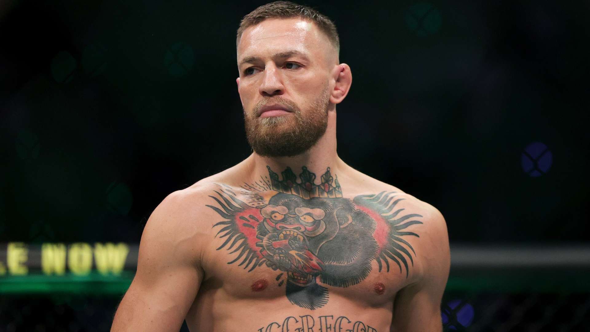 掘金若想在 掘金若想在